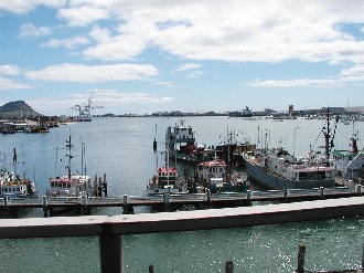 harbour.jpg