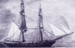 bild-05k.jpg